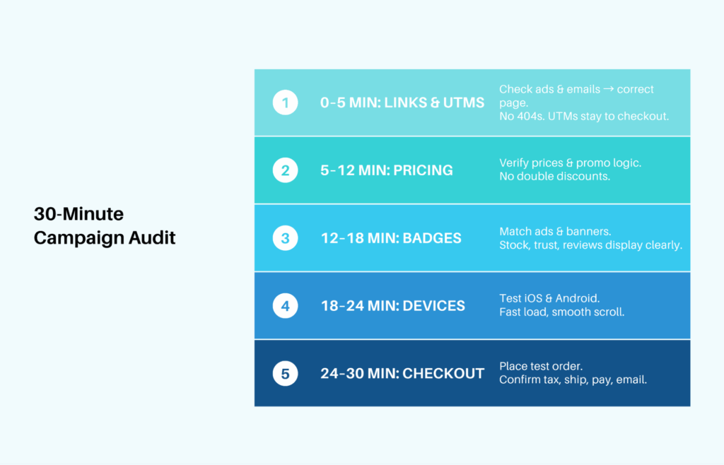 30 minute BFCM campaign audit
